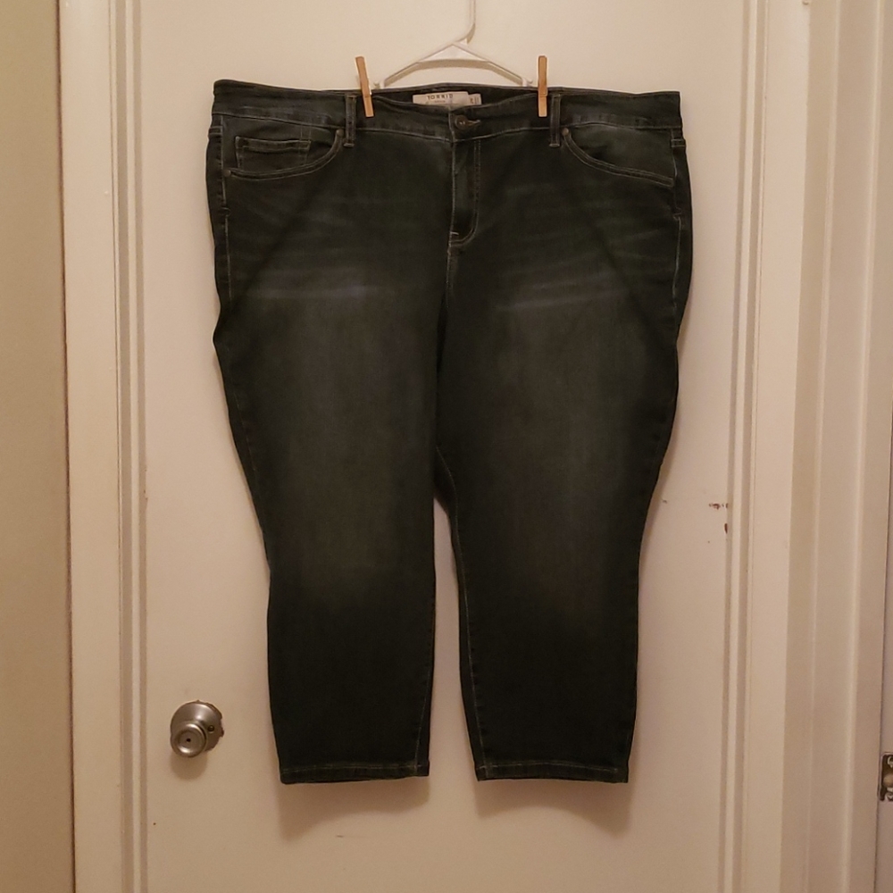 Torrid Skinny Jeans